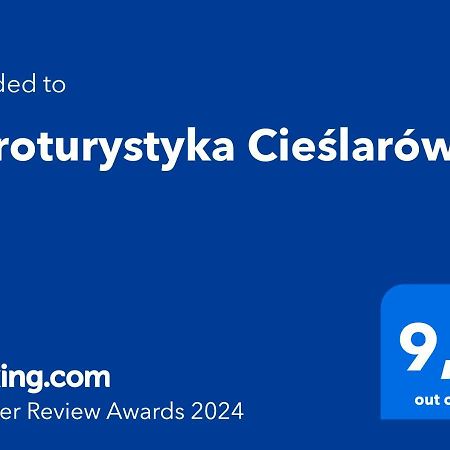Agroturystyka Cieslarowka Lubawka Bagian luar foto