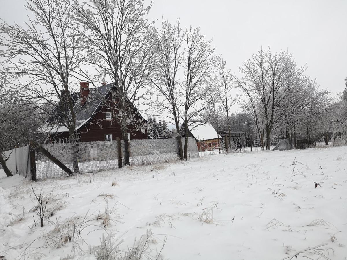 Agroturystyka Cieslarowka Lubawka Bagian luar foto